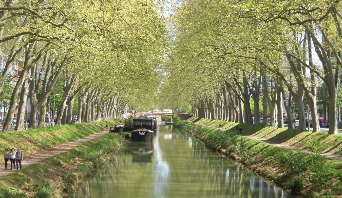 Grand Parc Canal : Toulouse Métropole lance la concertation et Jacqueline Osty accompagnera le projet